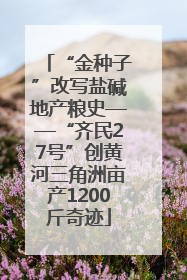 “金种子”改写盐碱地产粮史——“齐民27号”创黄河三角洲亩产1200斤奇迹
